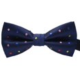 thumbnail image 1 of Maoww Cravate Formelle à Motif Coloré pour Hommes Adulte Homme Affaires Réunion Mariage Fil Polyester Nœud Papillon, 1 of 8