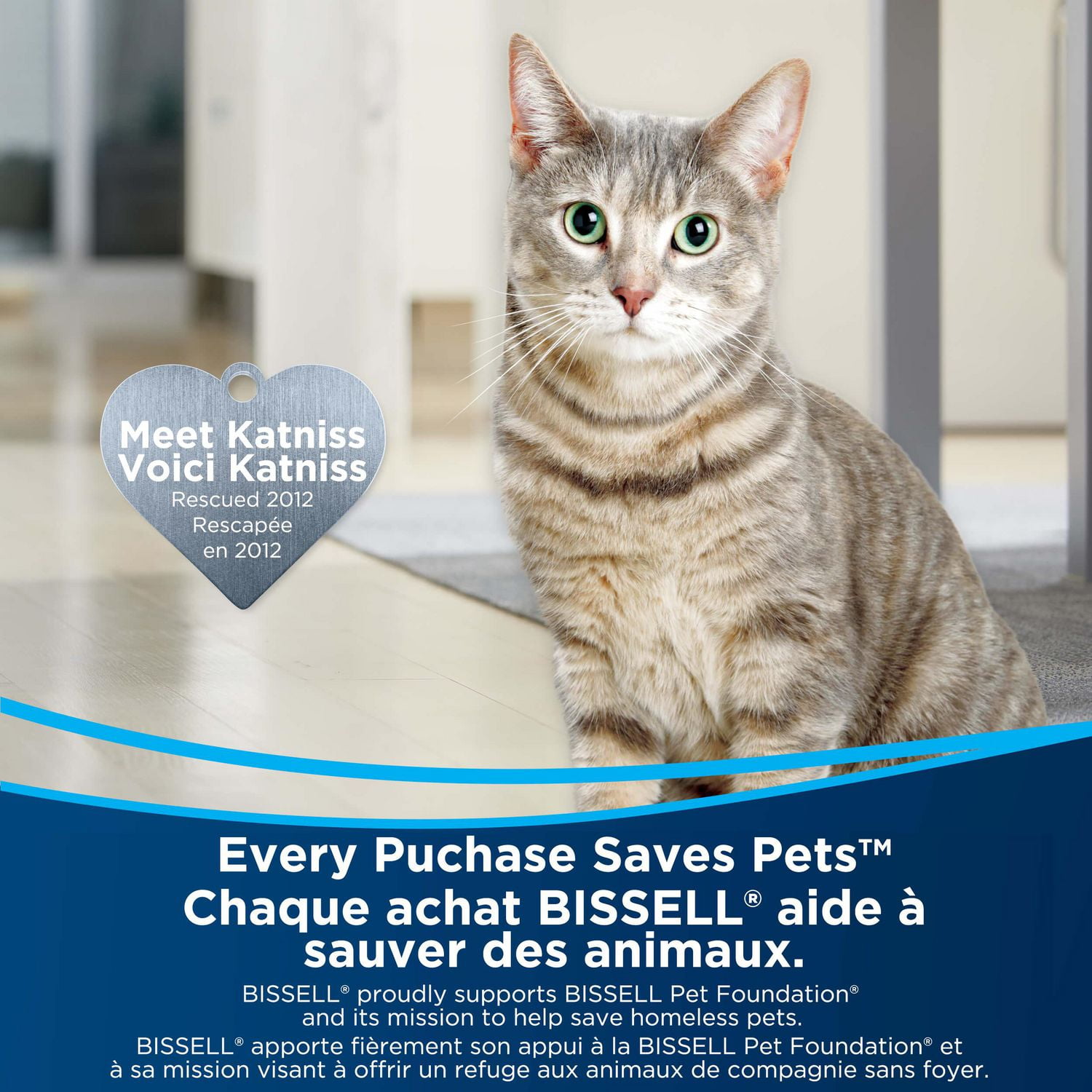 BISSELL® Pet Pretreat + Sanitize