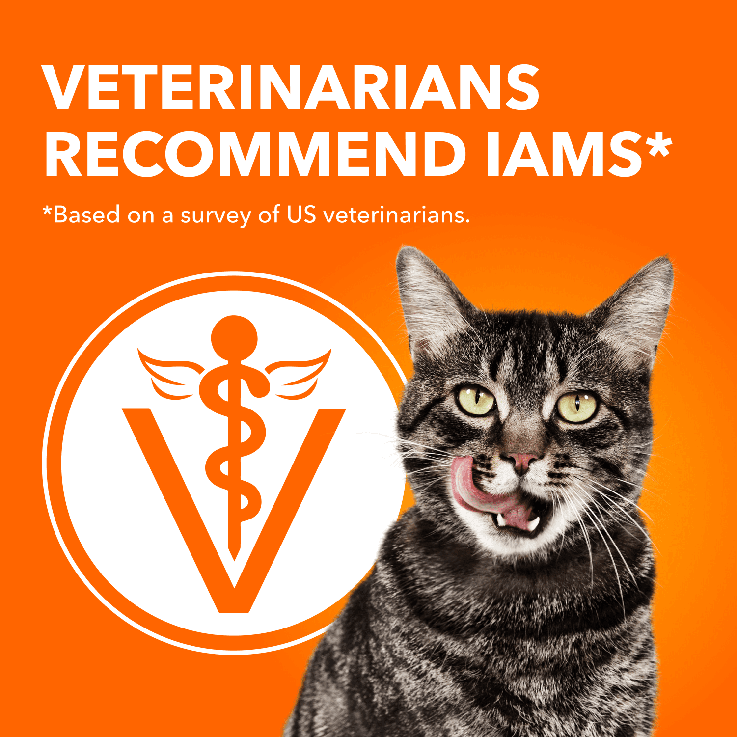 Iams Proactive Health Nourriture Sèche pour Chats Adultes Soins des Voies Urinaires au Poulet 1.6kg