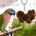thumbnail image 3 of Birdeem Jouet Pomme de Pin Fournitures Apaisantes, 3 of 9