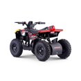 thumbnail image 3 of Droyd Fury, Electric Youth ATV, 3 of 8