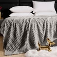 thumbnail image 4 of Birdeem Flannel Blanket Solid Color Multifunctional Cover Blanket, 4 of 8