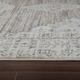 thumbnail image 4 of Rug Branch Nomad Vintage Indoor Area Rug, Beige Brown, Distressed - Living Room, Bedroom, Dining Room, and Kitchen, 4 of 6