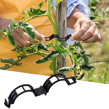 Meitianfacai Fixed Clip Hanger Vegetable Melon Fruit Tomato Clip Plant Clip Plastic Binding Clip Tomato Ring Clip