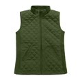 thumbnail image 1 of Bienzoe Gilet Matelassé Léger pour Femme, Doudoune Rembourrée, Mode, Fermeture Éclair, Veste Décontractée, Olive, TG, 1 of 6