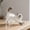 A, variant on Cat Fibers Memorial Bottle Transparent Storage Box for Pet Fur Keepsake, Plastic Collectible Display for Ragdoll Cats Home Ornament
