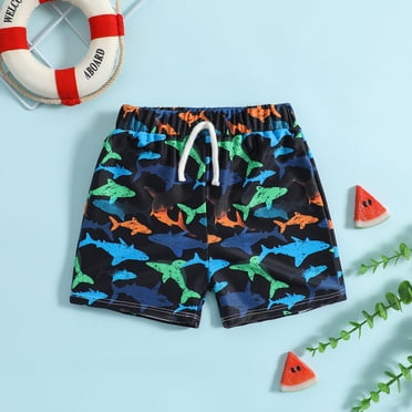 AJIWYH Toddler Swim Trunks Quick Dry Toddler Bathing Suits for Boys Swim Shorts Baby Swimsuit Boys Board Shorts Kids Swimwear (Black,12-18 Months)