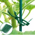 thumbnail image 3 of Green Gardening Tie Wrap Plant Pot Mark Garden Tool Fixed, 3 of 5