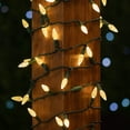 thumbnail image 3 of Novelty Lights 24 Feet 70 LED Warm White Outdoor Christmas String Lights, 3 of 7
