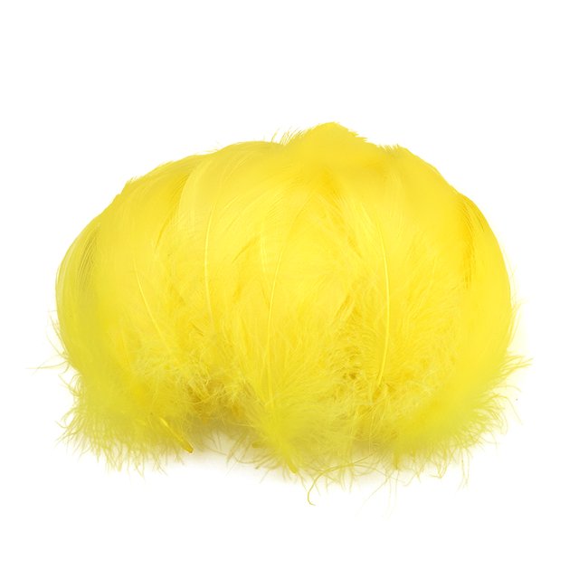 XZNGL 100pc Colorful Feathers 6-12 Cm In Small Feather DIY Decoration