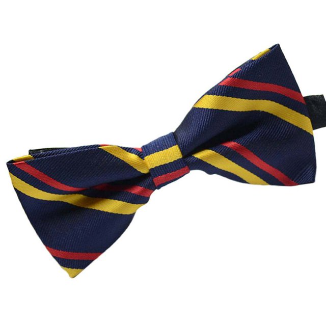Cravate Formelle à Motif Coloré pour Homme Adulte Homme Réunion d'Affaires Nœud Papillon Mariage Nœud Papillon en Fil de Polyester