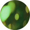 thumbnail image 1 of Ahgly Tapis Rond Lavable en Machine Intérieur Transitionnel Vert Forêt Foncé, 7 Pieds Rond, 1 of 7
