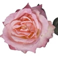 thumbnail image 4 of Tige de Rose Artificielle, 4 of 6