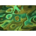 thumbnail image 1 of Ahgly Tapis Rectangulaire Lavable en Machine Intérieur Transitionnel Vert Forêt Foncé, 7 Pieds x 9 Pieds, 1 of 7