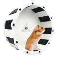 thumbnail image 1 of Hamster Roue pour Silencieuse Roue Tournante Roue d'Exercice pour Petits Animaux, 1 of 5