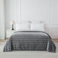 thumbnail image 1 of Mainstays Cationic Plush Blanket, Size: Twin - Double/Queen, 1 of 7