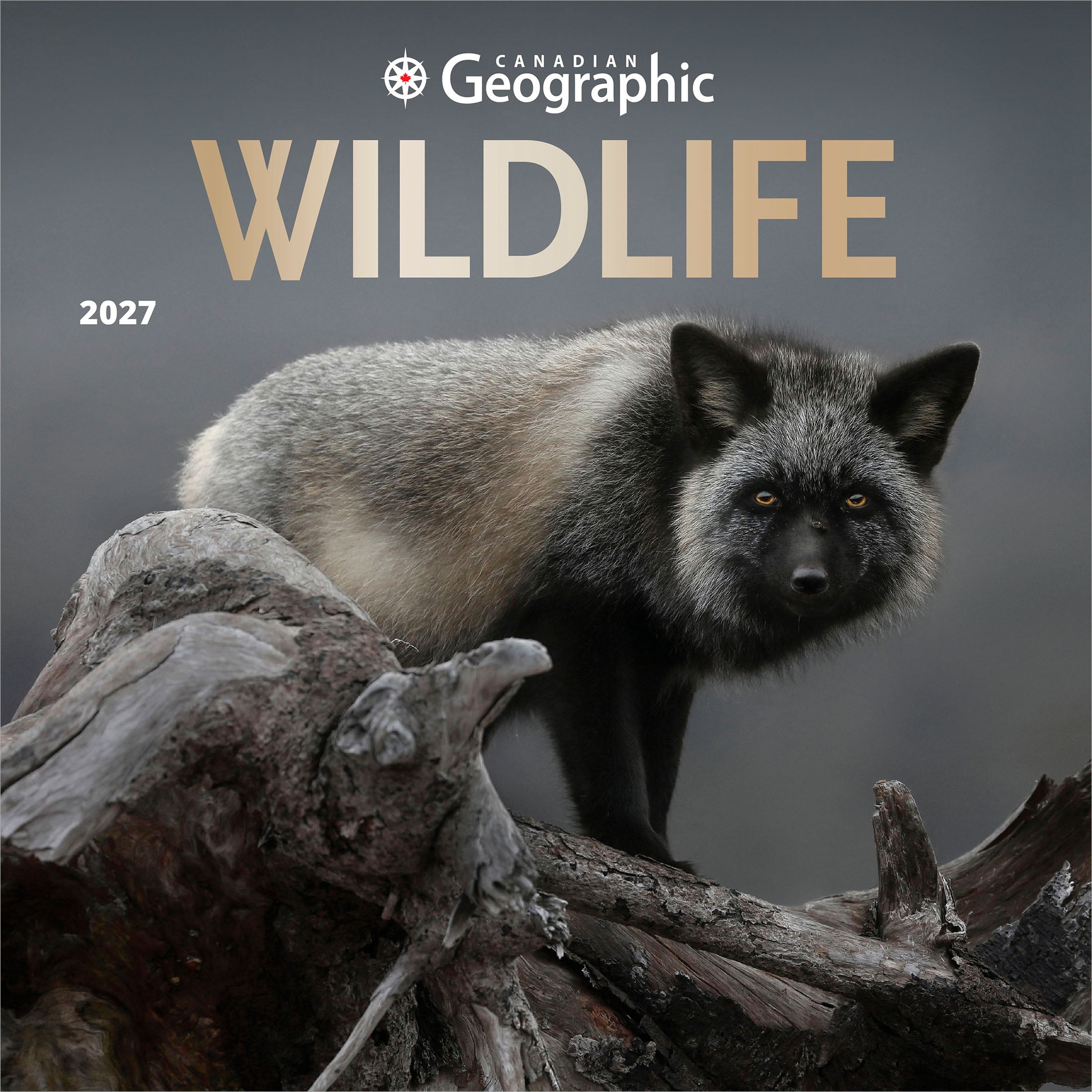 Canadian Geographic Faune sauvage 2027 Carré
