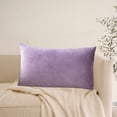 thumbnail image 4 of Rectangle Velvet Throw Pillow Cover, Waist Pillow Cushion, 30×50cm, Polyester Material, Envelope-Style Closure, Fresh Breathable, Washable, Comfortable Brushed Fabric, Suitable As Gift, 4 of 6