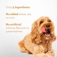 thumbnail image 4 of DreamBone Protein Rings Dog Treats with Real Chicken & Sweet Potato, Rawhide-Free Chew Rings, Fun & Engaging Treats for All Dogs, 4 of 7