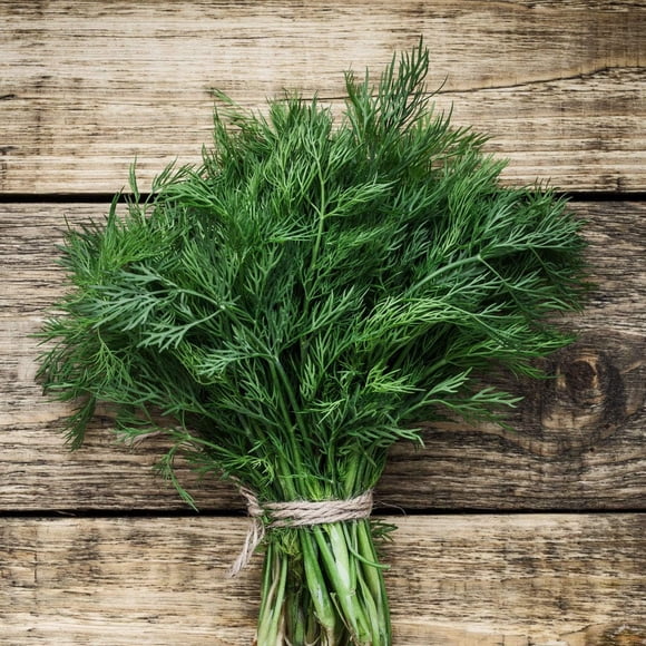 GSDWIUEW Organic Dill 100 Seeds Pickling, Homemade Dill Pickle Great Germination Herb Seed