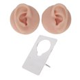 thumbnail image 2 of High Simulation Silicone Ear Model for Piercing Practice, Earring Display Props, Reusable, 2 of 7