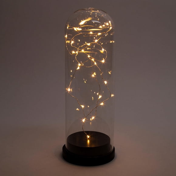 Truu Design Beautiful and Elegant LED Bell Jar Lights