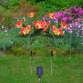 thumbnail image 4 of TIMIFIS Decorative Lights Solar Flower Lights Outdoor, Solar Flowers Garden Decorative Lights LED Stake Lights Auto On/Off Bright up to 8 Hrs Lighting & Ceiling, 4 of 5