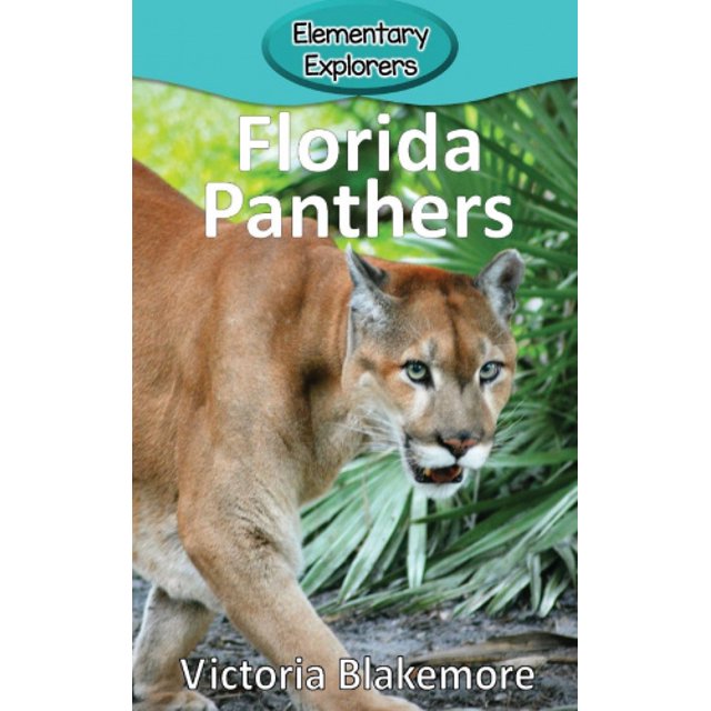 Panthères de Floride (Explorateurs Élémentaires)