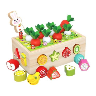 Yinanstore Ensemble de Jouets Blocs en Bois pour l'Appariement des Formes, Casse-Têtes de Fruits en Bois Colorés Bricolage Planche en Bois Jouets pour le Tri et l'Appariement des Formes 3-12 Ans