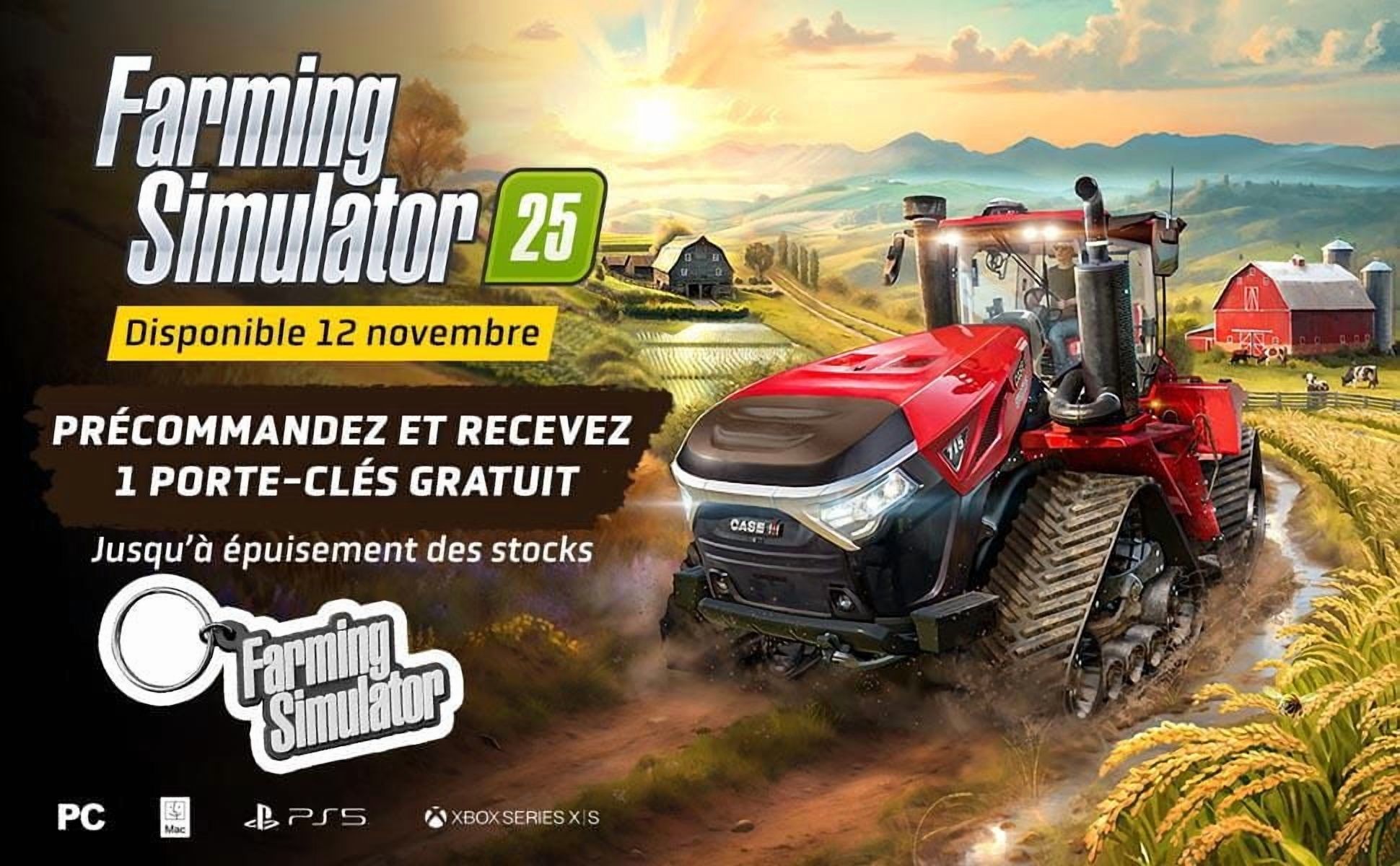 Jeu vidéo Farming Simulator 25 Collector's Edition pour (PC)