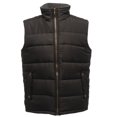 thumbnail image 1 of Regatta Veste Isolante pour Hommes Standout Altoona, 1 of 6
