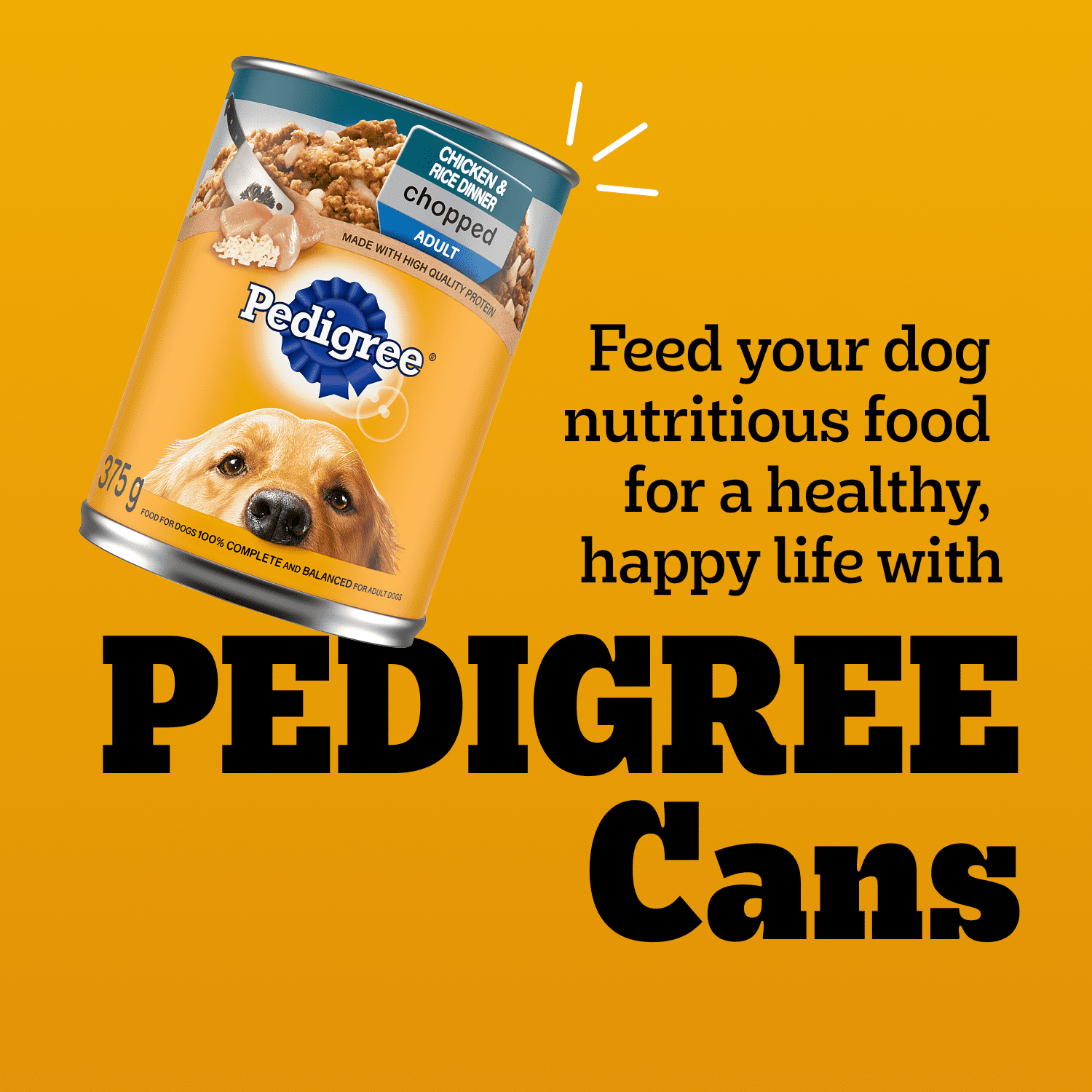 PEDIGREE Chopped Chicken and Rice & Beef Adult Wet Dog Food 9kg