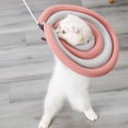 thumbnail image 4 of AMERTEER Collier Protecteur pour Animaux Super Doux Imperméable EPE Chirurgie Récupération Cône de Protection pour la Maison, 4 of 8