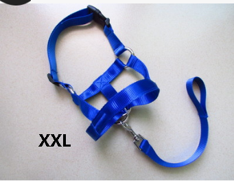 Faithtur Dogs Mouth Rope Gentle Halter Leash Leader Pet Mouth Traction Set Adjustable Head Collar Pet Accessories