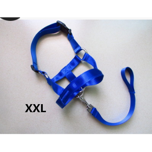 Faithtur Dogs Mouth Rope Gentle Halter Leash Leader Pet Mouth Traction Set Adjustable Head Collar Pet Accessories