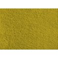 thumbnail image 1 of Ahgly Company Tapis d'Intérieur Lavables en Machine Rectangle Transitionnel Vert Jaune Foncé, 2' x 3', 1 of 7