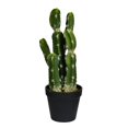 thumbnail image 1 of Vickerman FO190114 14 in. Green Potted Cactus Plastic Planter Pot, 1 of 3