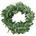 thumbnail image 1 of FRCOLOR Fairy Lights for Room Decor with Green PVC Vine Leaves and Copper Wire 2 Meter 20 LED,78.74"X1.97"X1.18", 1 of 4