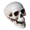 thumbnail image 2 of EGNMCR Halloween Decorations, Halloween Skeletons Plastic Realistic Fake Simulation Human Skull HeadBone Model Halloween Prop Realistic Mini Skeleton Spooky Halloween Decoration A Skeleton, 2 of 5