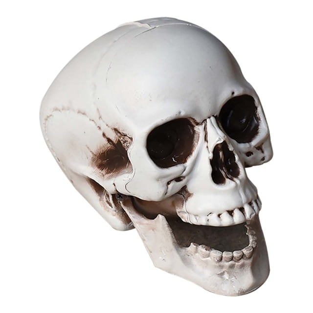Halloween Decorations Outdoor,Halloween Skeletons Plastic Realistic Fake Simulation Human Skull Headbone Model Halloween Prop Realistic Mini Skeleton Spooky Halloween Decoration