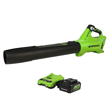 Greenworks Souffleur de Feuilles Sans Fil Sans Balais 24V 450 CFM, Batterie USB 4,0 Ah et Chargeur Inclus