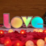 Vaidha Decorative Lights Proposal Holiday LED Lights Lantern Shape Light