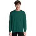 thumbnail image 1 of Hanes Chandail Molletonné à Col Rond Épais en Coton Ultime pour Hommes - F260, 1 of 1