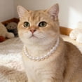thumbnail image 1 of Collier Ras-du-Cou Élégant avec Perles pour Exposition d'Animaux de Compagnie avec Fermeture Ajustable Sécurisée et Port Polyvalent au Quotidien, 1 of 3