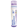 thumbnail image 1 of Boiron Aesculus Hippocastanum 30CH — Homeopathic Medicine - 4g (Approx.80 pellets), 1 of 6