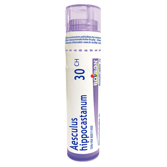 Boiron Aesculus Hippocastanum 30CH homeopathic medicine in a 4g tube containing approximately 80 quick-dissolving, unflavored pellets. The compact tube features a hygienic dispenser cap for precise dosing and portability, suitable for adults, children, and infants. The product is displayed with a purple and white design, highlighting the Boiron branding and 30CH potency.