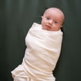 thumbnail image 4 of HALO® SleepSack® Swaddle - Cotton - Cream, Small, 1 pack, 4 of 7