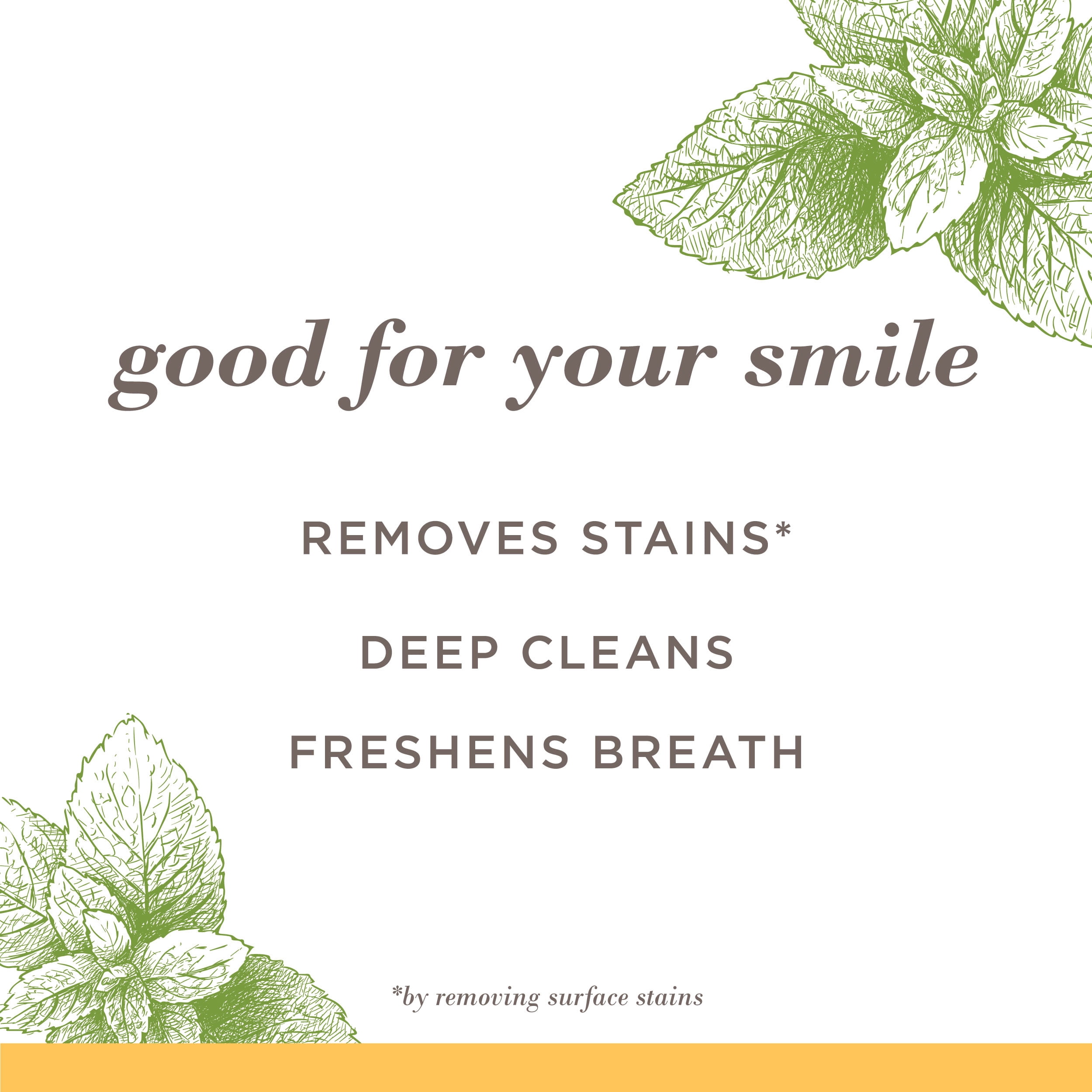Burt's Bees Dentifrice, Sans Fluorure, Purely White, Menthe Poivrée Zen 105ml