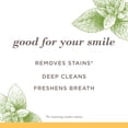 thumbnail image 3 of Burt's Bees Toothpaste, Fluoride Free, Purely White, Zen Peppermint 105ml, 3 of 6