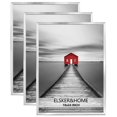thumbnail image 1 of ELSKER&HOME 18x24 Poster Frame 3 Pack, Sliver Picture Frame for Horizontal or Vertical Wall Mounting, 1 of 7